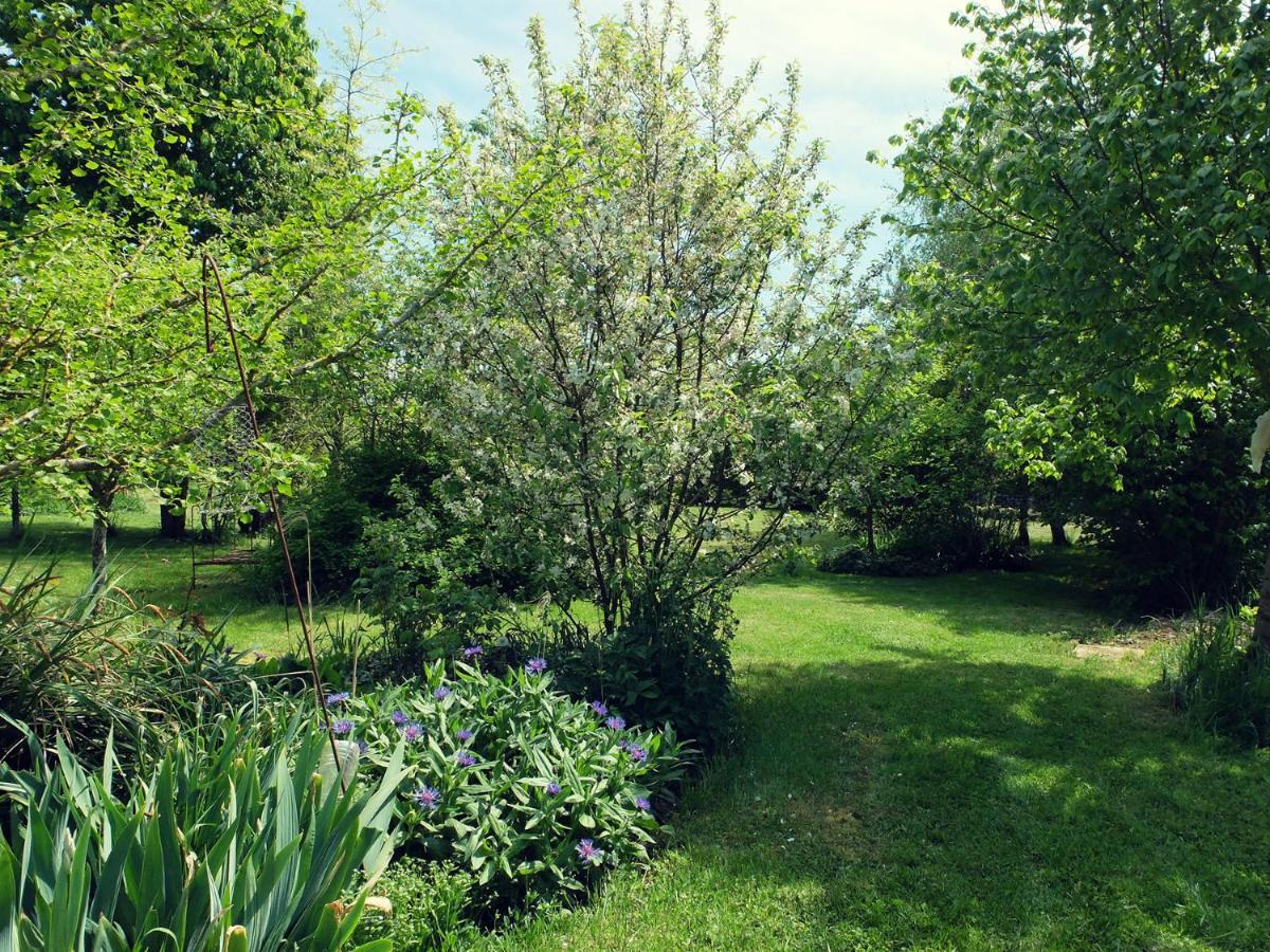 לינה וארוחת בוקר Saint-Julien-de-Civry Le The Au Jardin מראה חיצוני תמונה