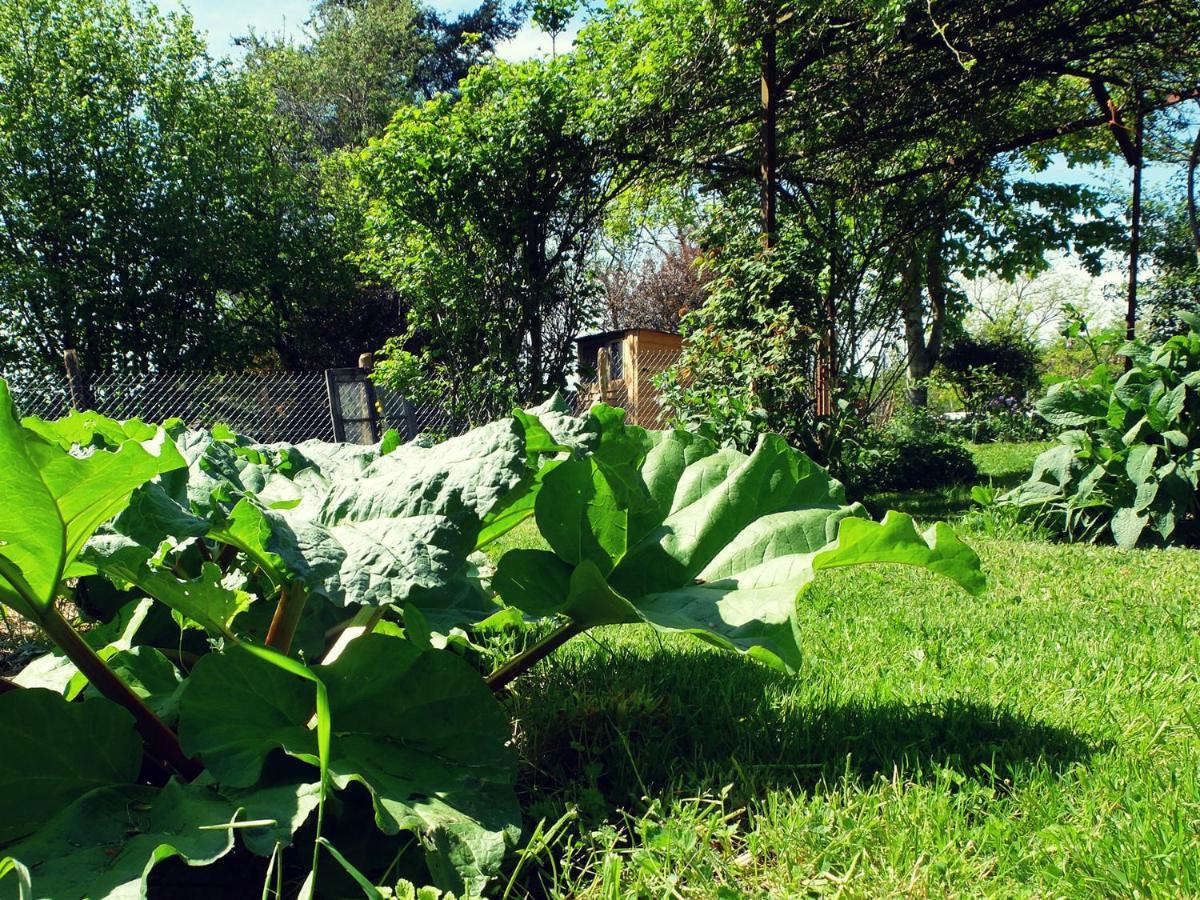 לינה וארוחת בוקר Saint-Julien-de-Civry Le The Au Jardin מראה חיצוני תמונה
